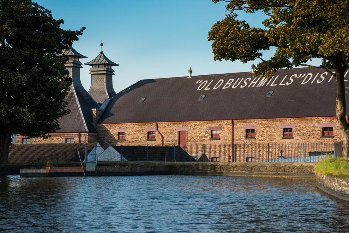 Somerset House Coleraine Exterior photo